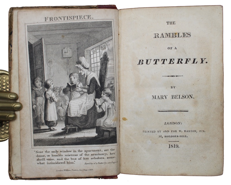 Photo of "The rambles of a butterfly"