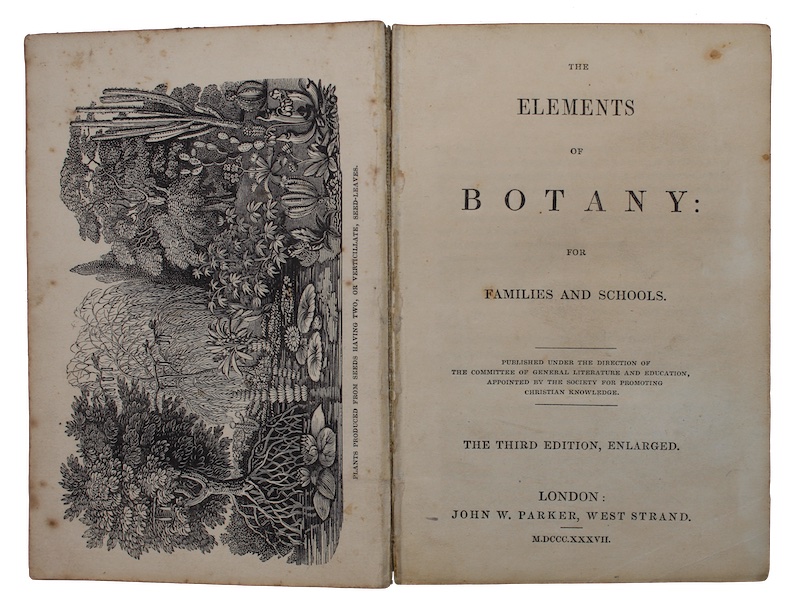 Photo of "The elements of botany: for ..."