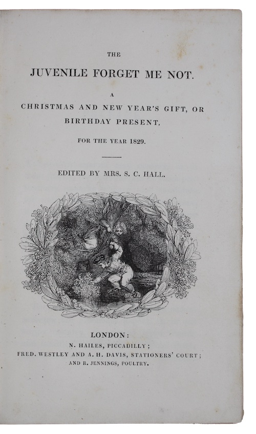 Photo of "The juvenile forget me not. ..."