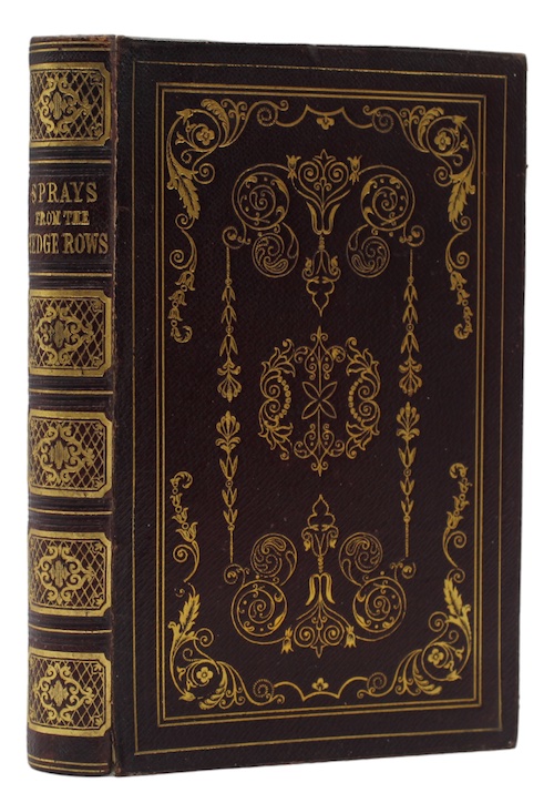 Photo of "Sprays from the Hedgerows"