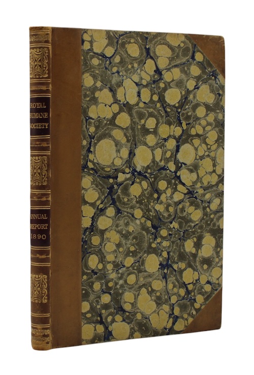 Photo of "Annual report for 1890"
