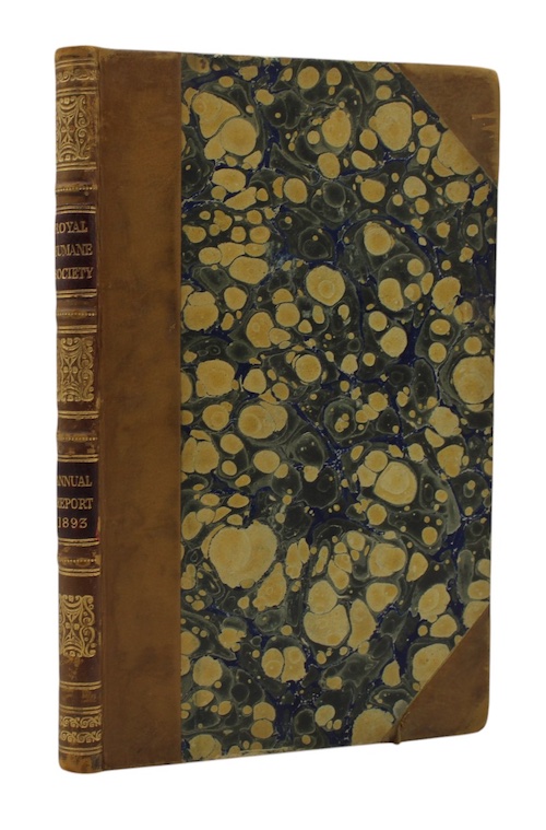 Photo of "Annual report for 1893"