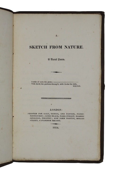 Photo of "A sketch from nature. A ..."