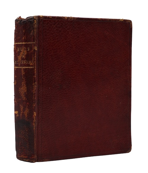 Photo of "Little Peepy"