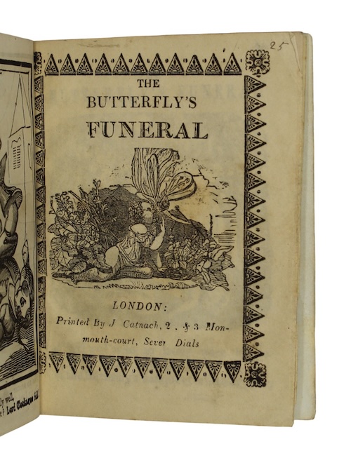 Photo of "The butterfly's funeral"
