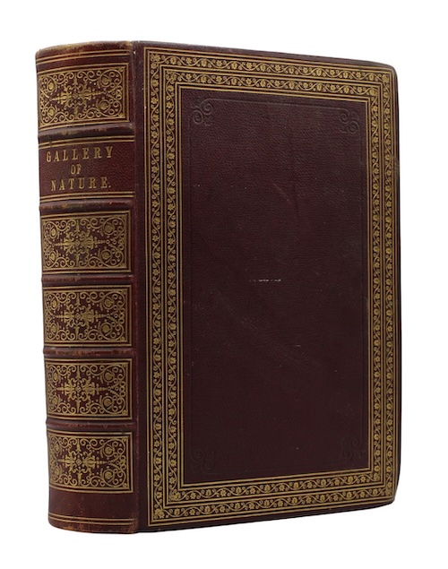 Photo of "The gallery of nature, A ..."