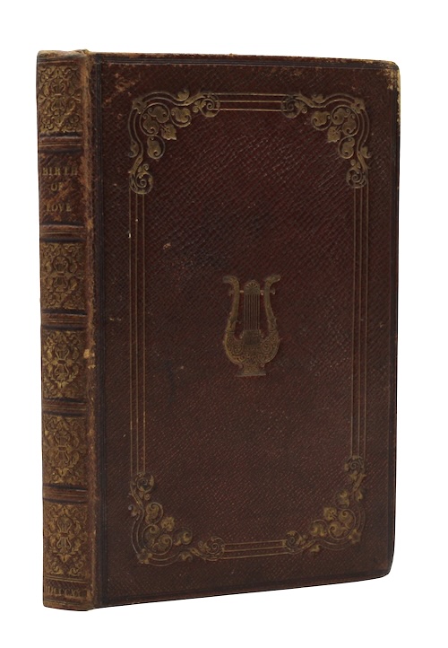 Photo of "The birth and triumph of ..."