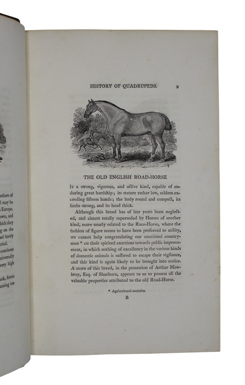 Photo of "A general history of quadrupeds"