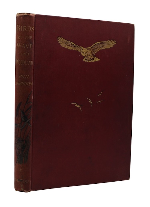 Photo of "Birds of the wave and ..."