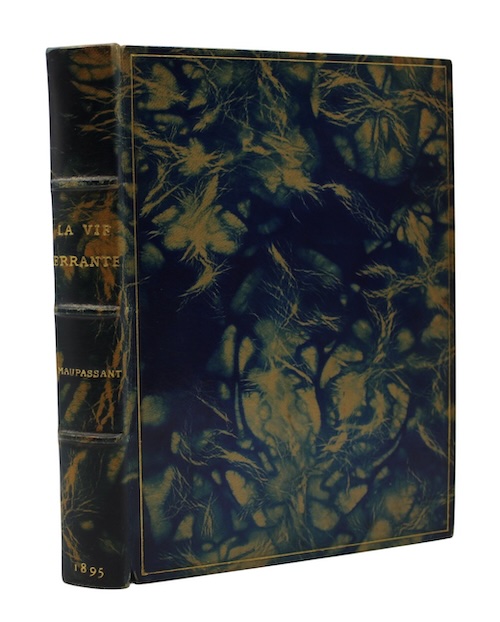 Photo of "La vie errante"