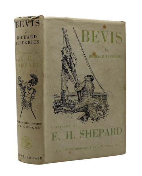 Photo of "Bevis: the story of a ..."