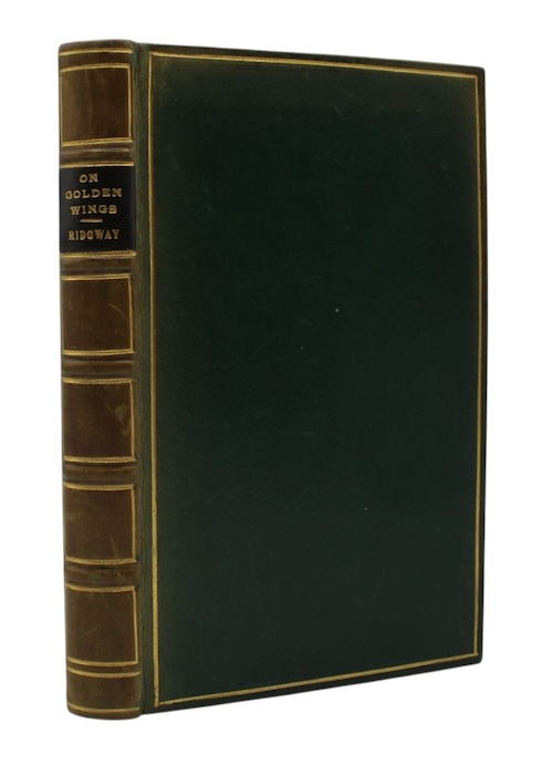 Photo of "On golden wings: letters from ..."