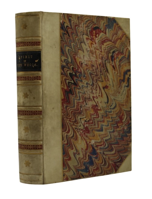 Photo of "The spirit of the woods, ..."