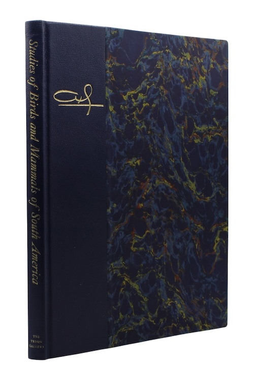 Photo of "Studies of Birds and Mammals ..."
