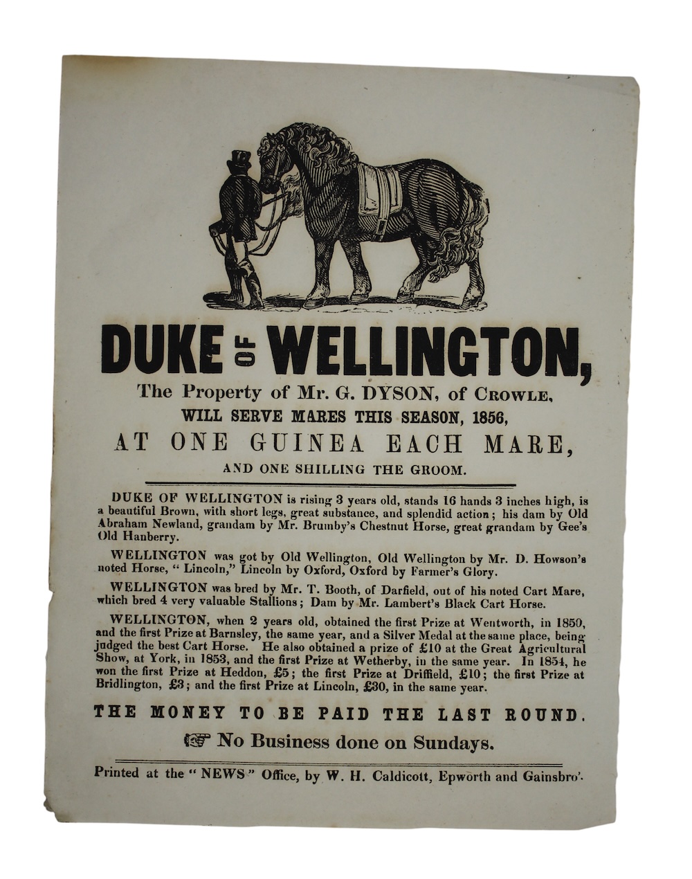 Photo of "Duke of wellington, The Property ..."